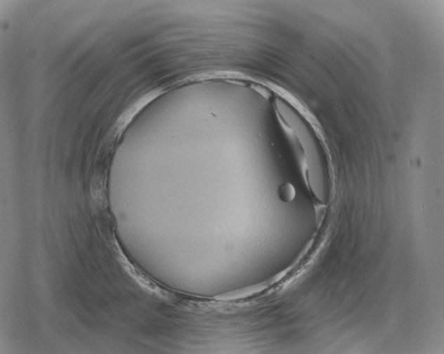 X0000079580905200612221427