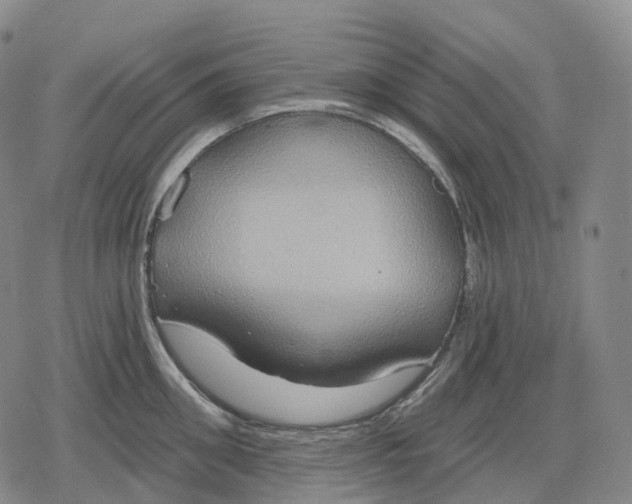 X0000079580906200612221427