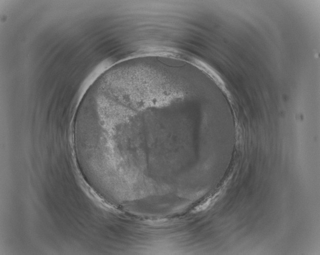 X0000079580907200612221427