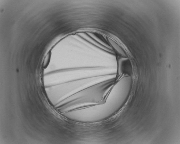 X0000079580908200612221427