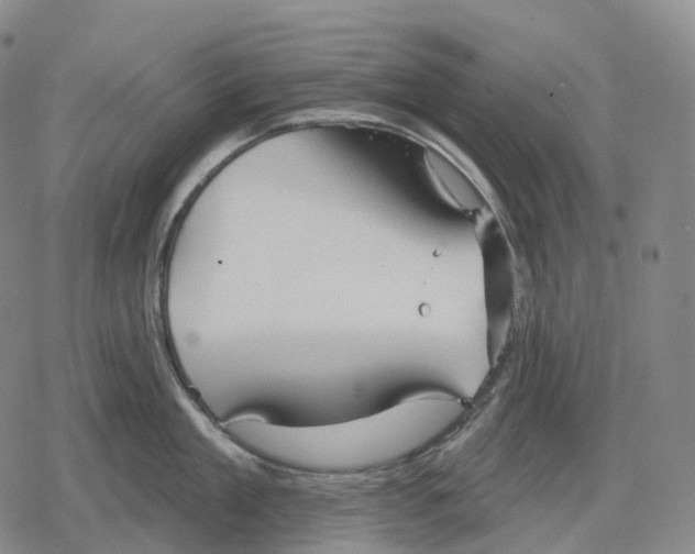 X0000079580909200612221427