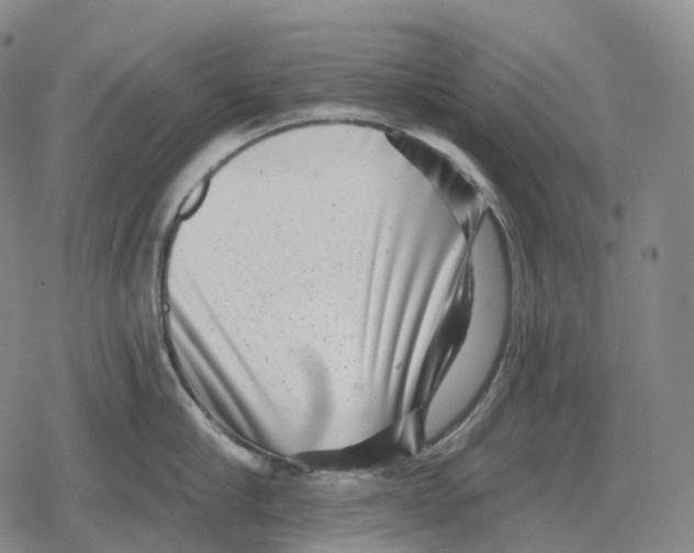 X0000079580910200612221427