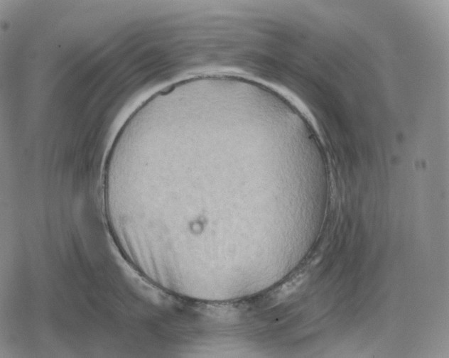 X0000079580911200612221427