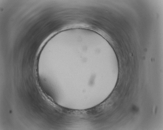 X0000079580912200612221427