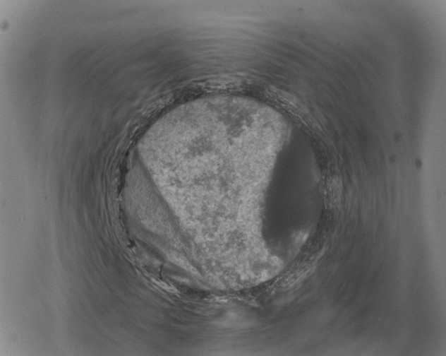 X0000079580913200612221426