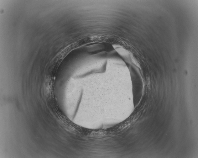 X0000079580914200612221426