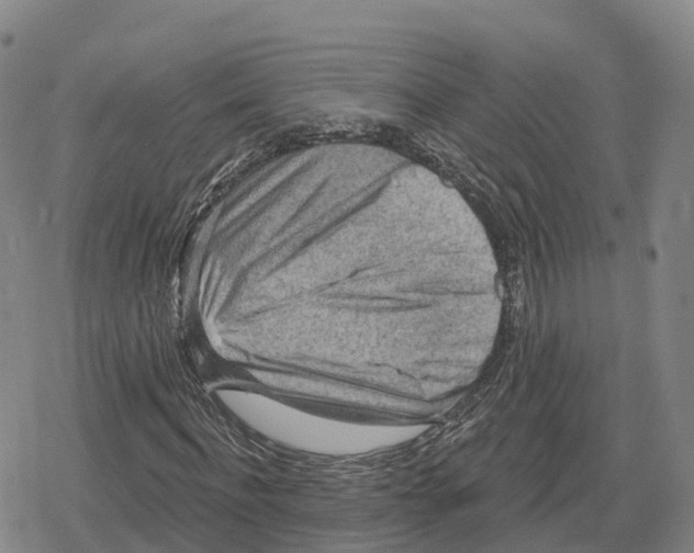 X0000079580916200612221427