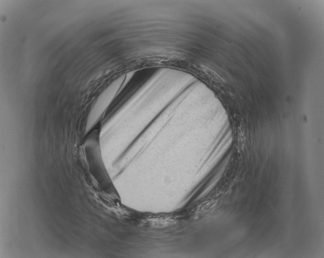 X0000079580917200612221427