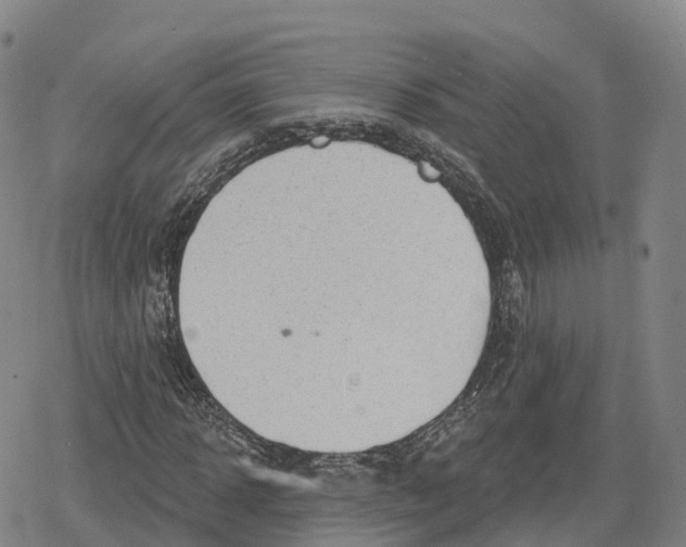 X0000079580918200612221427