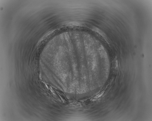 X0000079580919200612221427