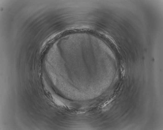 X0000079580920200612221427