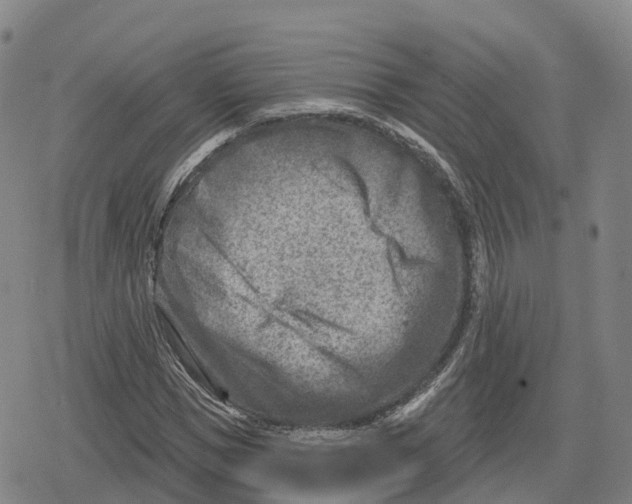 X0000079580921200612221427