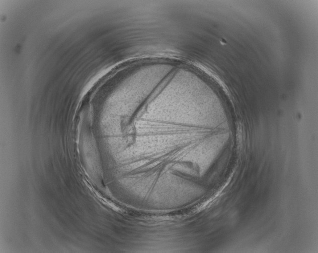 X0000079580925200612221427