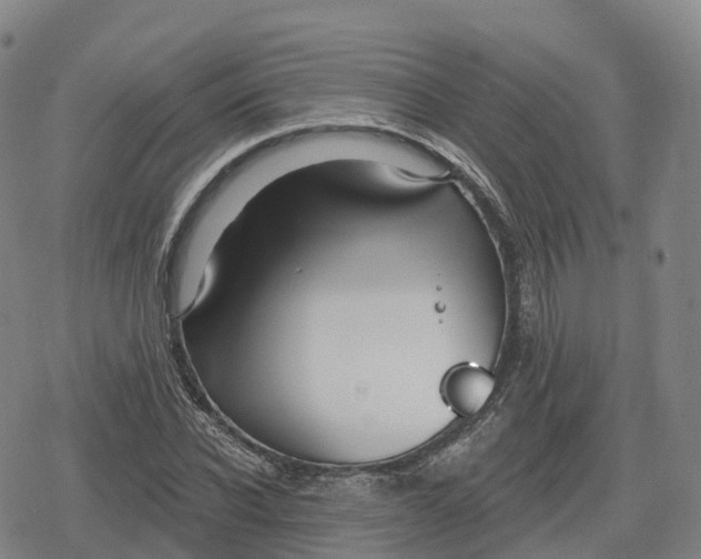 X0000079580926200612221427