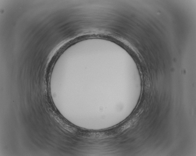 X0000079580927200612221427