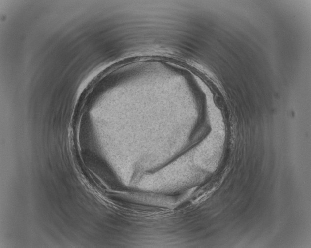 X0000079580928200612221427