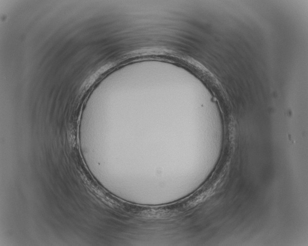 X0000079580929200612221427