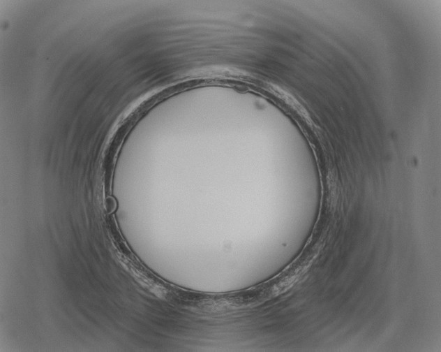 X0000079580931200612221427