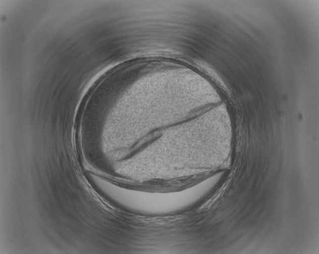 X0000079580932200612221427