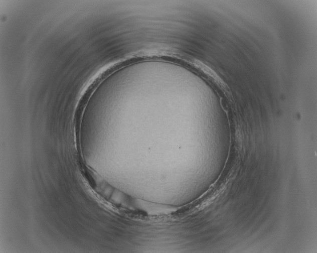 X0000079580934200612221427