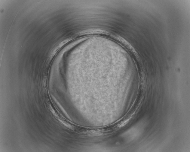 X0000079580937200612221427