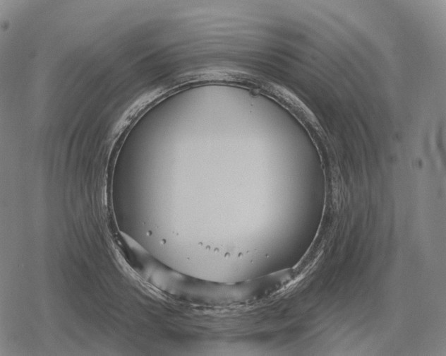 X0000079580938200612221427