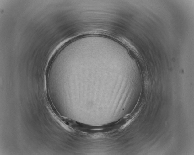 X0000079580940200612221427