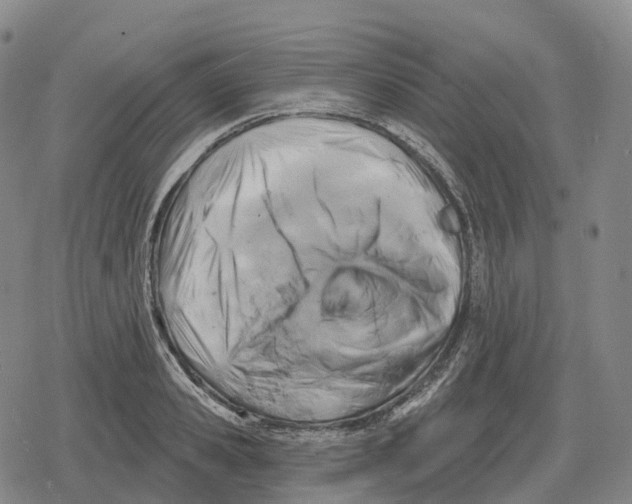 X0000079580941200612221427