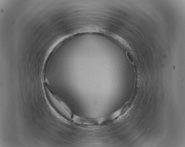 X0000079580942200612221427