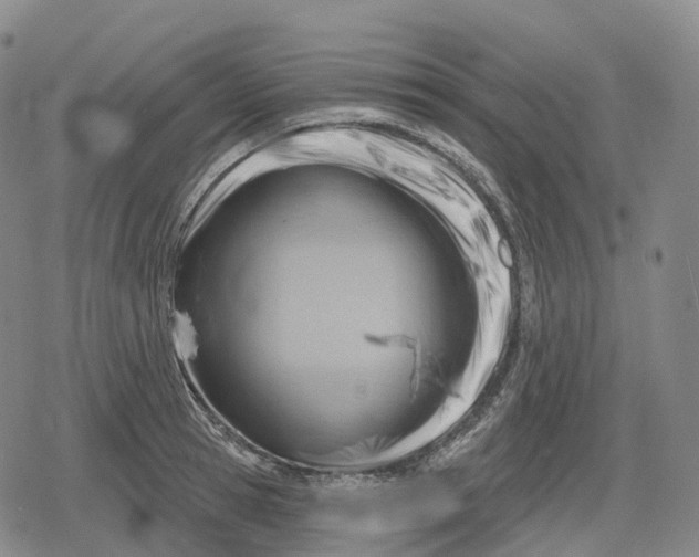 X0000079580945200612221427