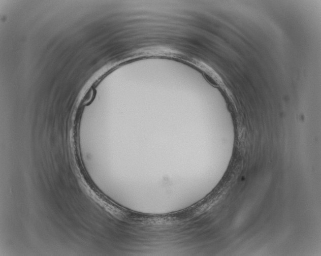 X0000079580947200612221427