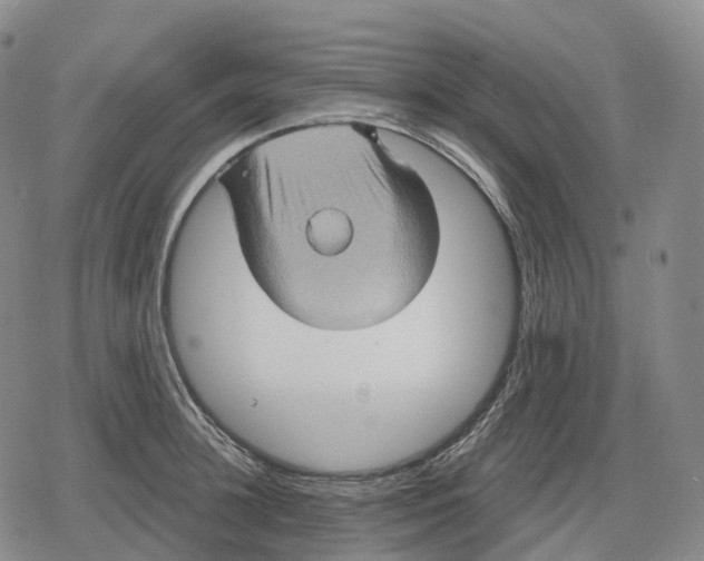 X0000079580948200612221427