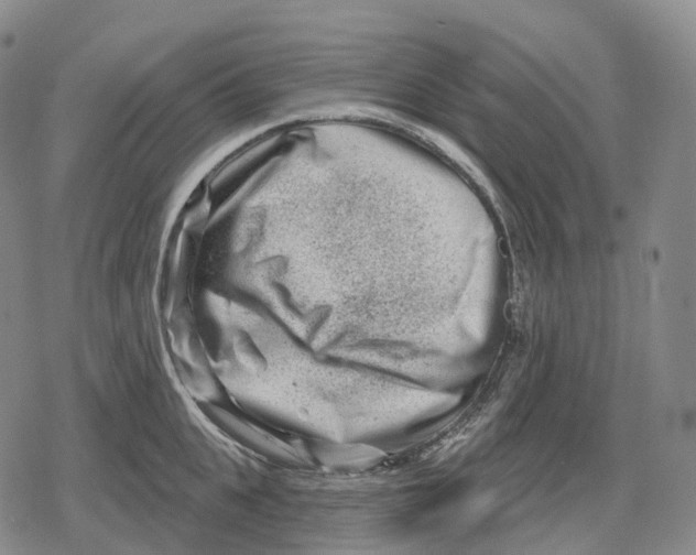 X0000079580951200612221427