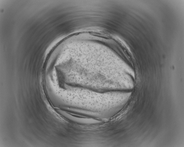 X0000079580952200612221427