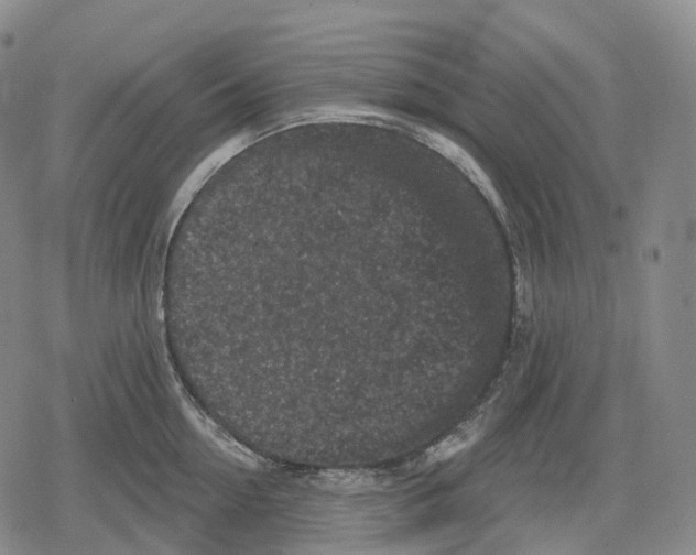 X0000079580954200612221427