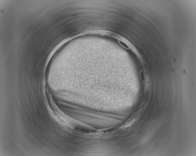 X0000079580955200612221427