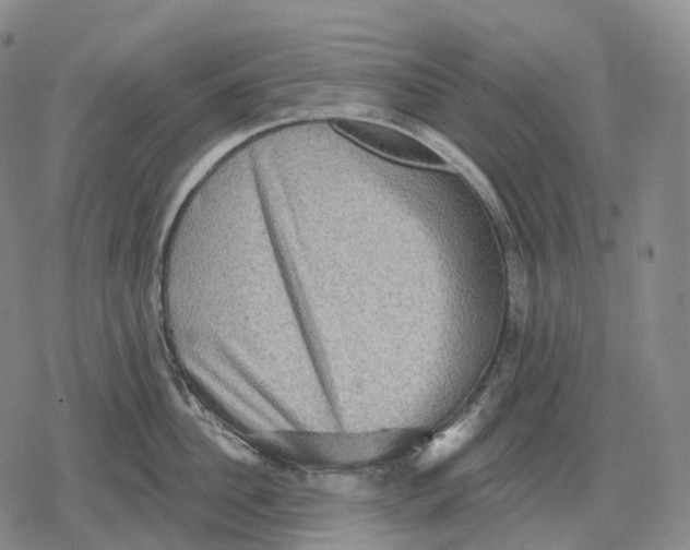 X0000079580956200612221427