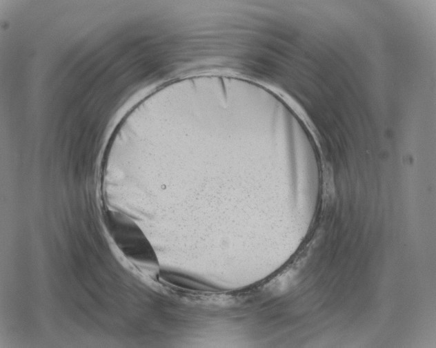 X0000079580957200612221427