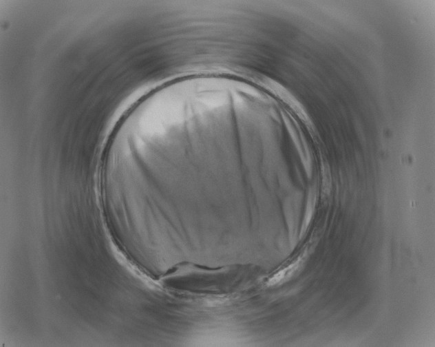 X0000079580958200612221427