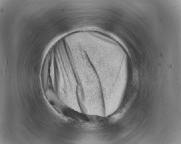 X0000079580959200612221427