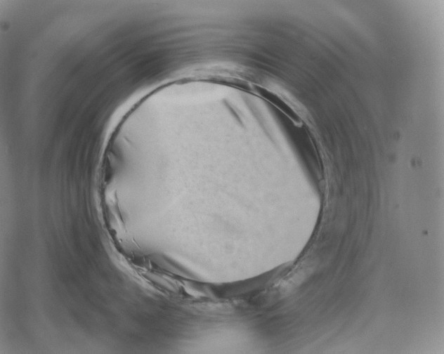 X0000079580960200612221427