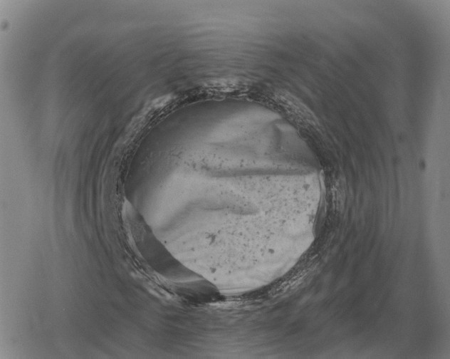 X0000079580961200612221426