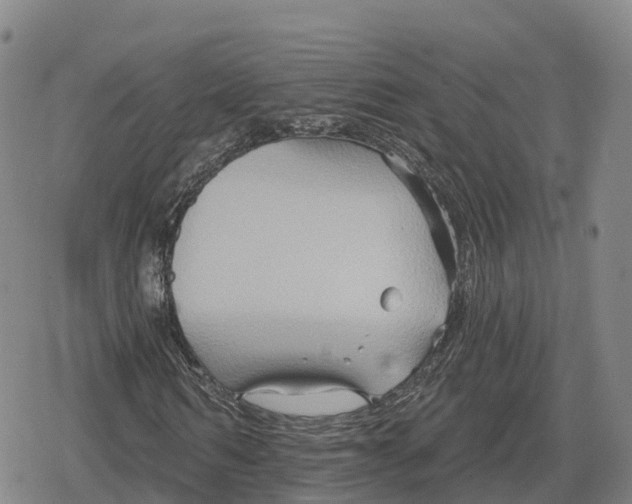 X0000079580962200612221426