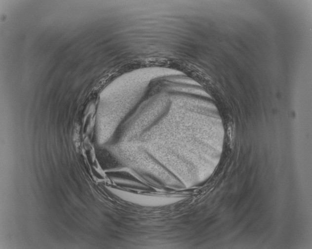 X0000079580963200612221426