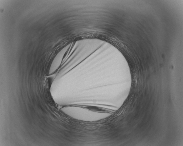 X0000079580964200612221426