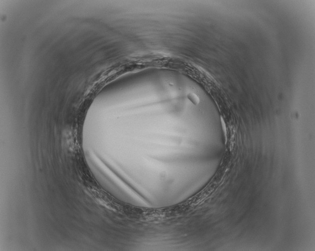 X0000079580965200612221426