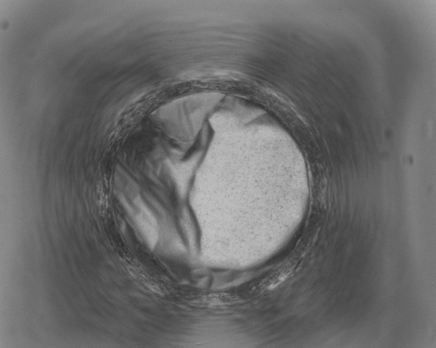 X0000079580966200612221426