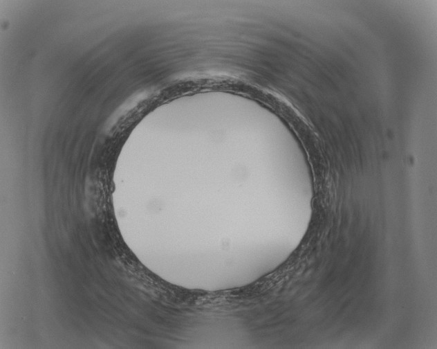 X0000079580967200612221426