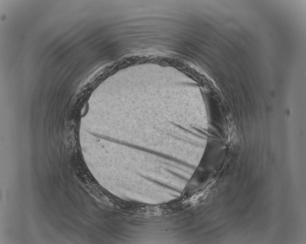 X0000079580968200612221426