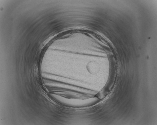 X0000079580969200612221426